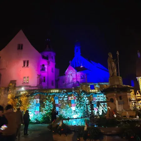 Appartamento Le Lorrane Muhlbach-sur-Munster Esterno foto