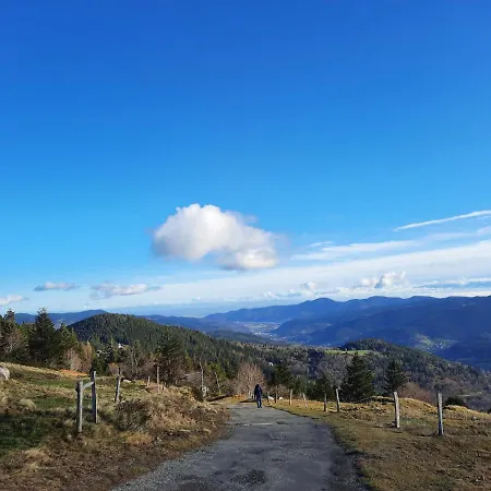 Appartamento Le Lorrane Muhlbach-sur-Munster Esterno foto